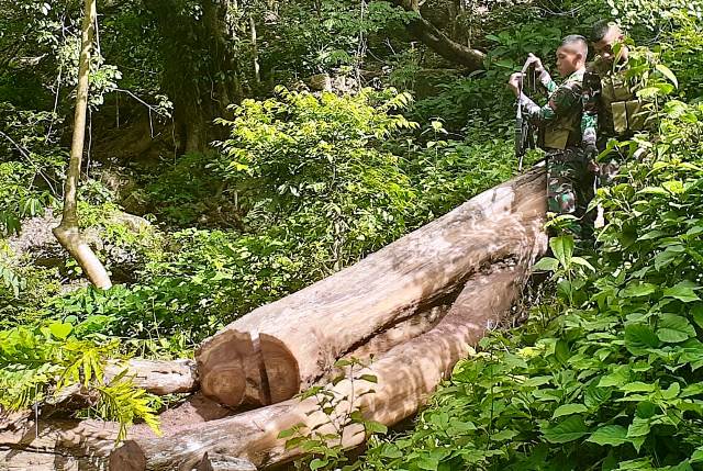 Cegah Kerusakan Hutan, Yonif 742 Amankan Tujuh Pembalak Liar