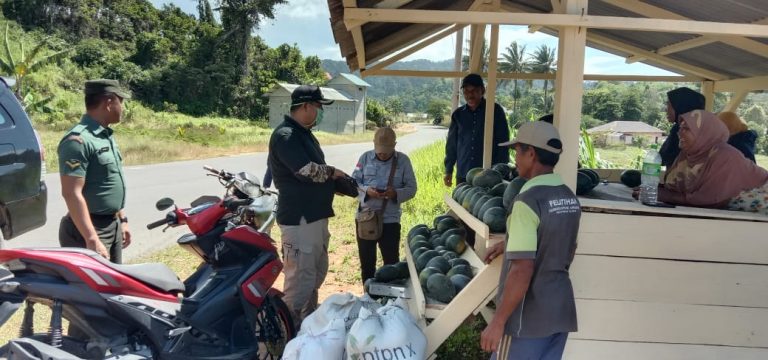 Abdul Haris Tinjau Pedagang Buah