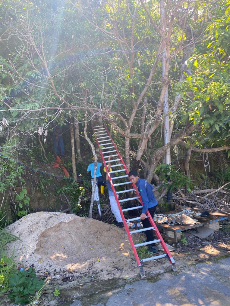 Pemadaman Sementara, PLN Jemaja Lakukan Pembersihan Jaringan