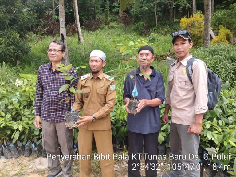KELOMPOK TANI “TUNAS BARU” DESA GENTING PULUR TERIMA BANTUAN BIBIT PALA