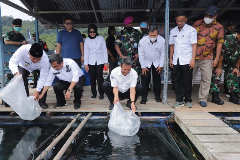 Menteri KKP Persiapkan Kerapu Jadi Unggulan Ekspor Perikanan Anambas