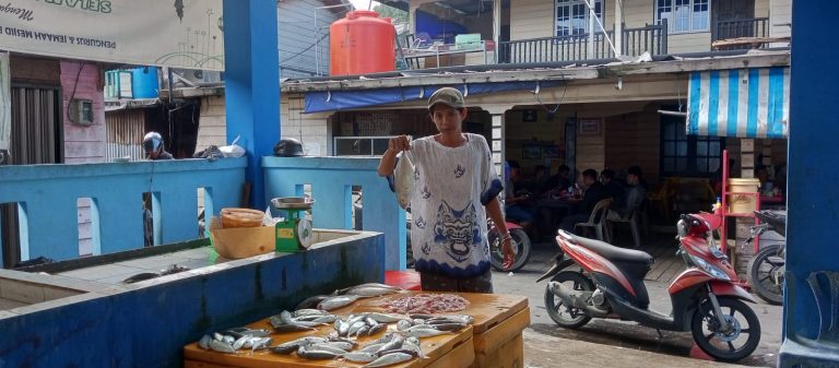 Nelayan Anambas Menjerit, Harga Jual Ikan Dan Cumi Anjlok