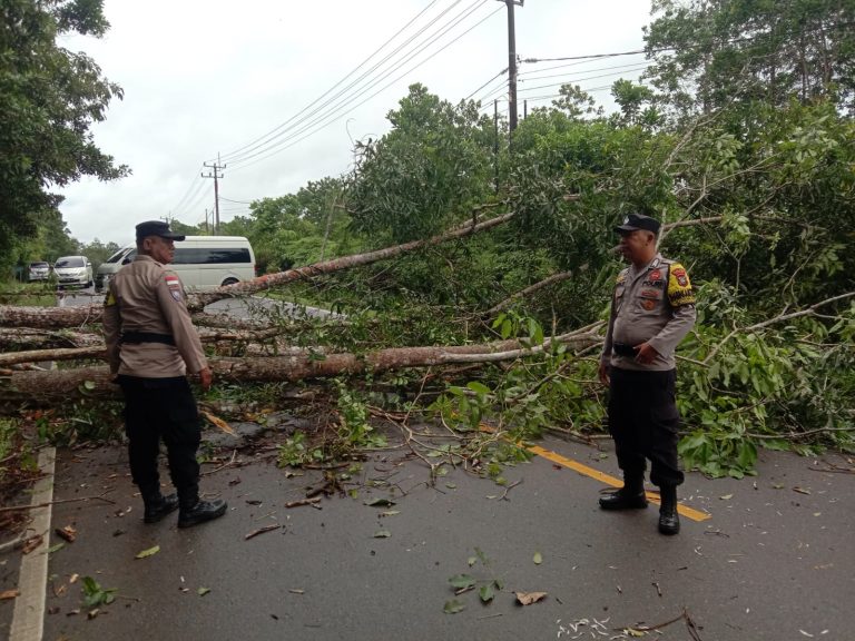 Sigap, Personil Polsek Gunung Kijang Sigap Singkirkan Pohon Tumbang