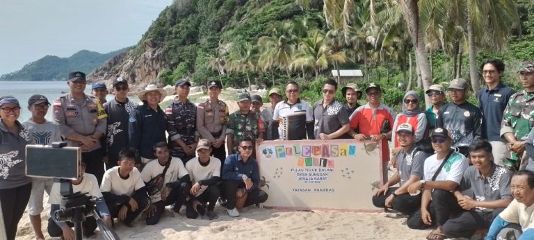 Tingkatkan Pariwisata, Yayasan Anambas Lepaskan Ratusan Tukik di Pantai Teluk Sadang
