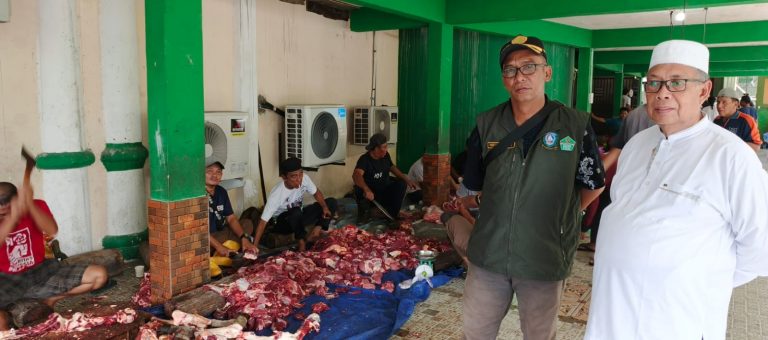 Idul Adha 2024, 11 Sapi Qurban di Masjid Jami’ Baiturrahim