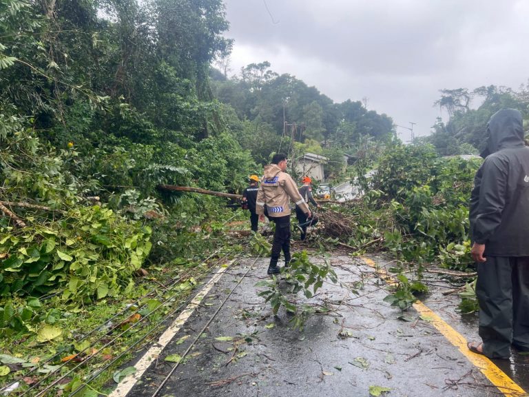 Respon Cepat Personel Polsek Siantan Evakuasi Pohon Tumbang