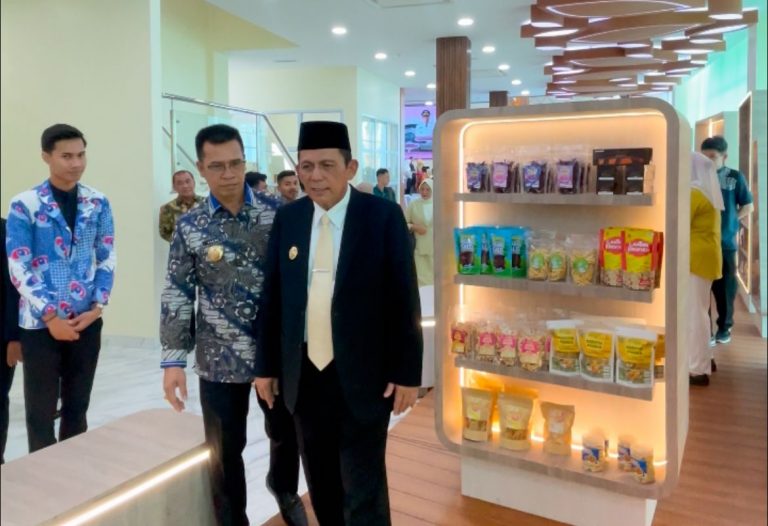 Bupati Aneng Kejar Kurang Bayar DBH Anambas di Provinsi Kepri