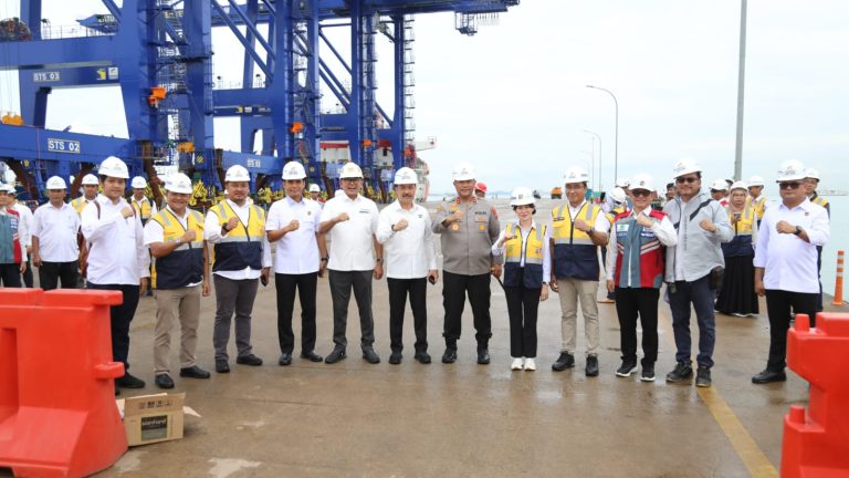 Wakil Kepala BP Batam Tinjau Persiapan Pengoperasian 4 STS Crane