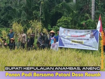 Bupati Aneng Ikut Panen Perdana Petani Desa Rewak